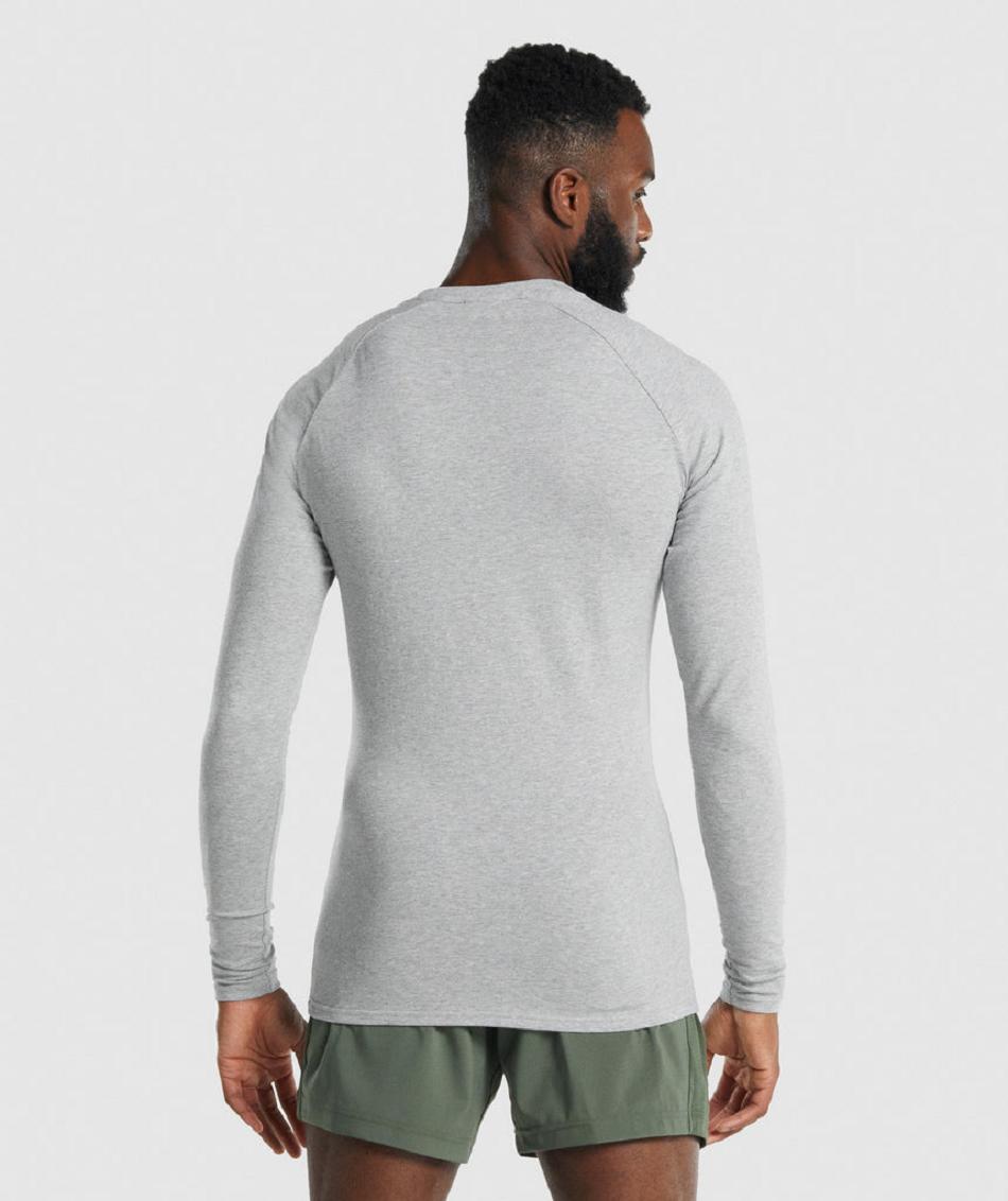 Long Sleeve Gymshark Apollo Hombre Gris Claro | CO 3482SGL